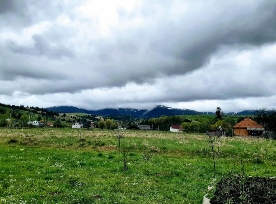 У Мирослави Pilipets Dış mekan fotoğraf