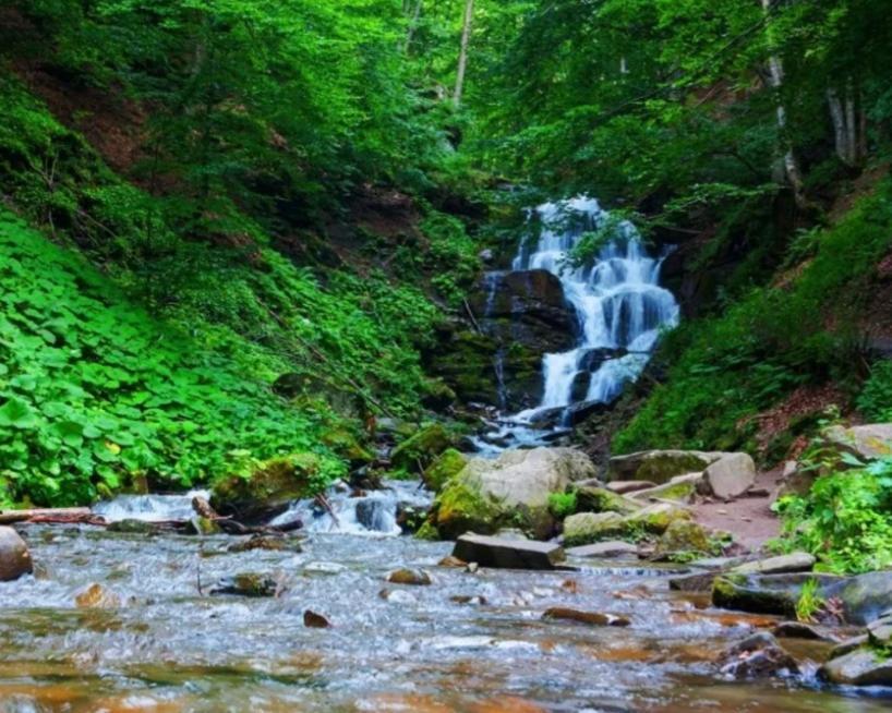 У Мирослави Pilipets Dış mekan fotoğraf